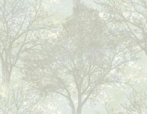 Langdale — Carl Robinson