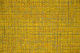 DAKAR - 40 Tournesol
