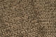 GRACE - 52 Pelage