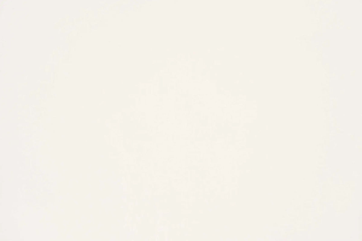 FANTASTIC - 13 Coton — Casal