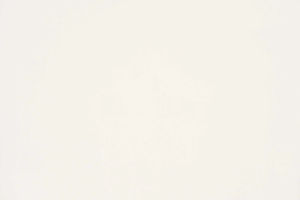 FANTASTIC - 13 Coton — Casal