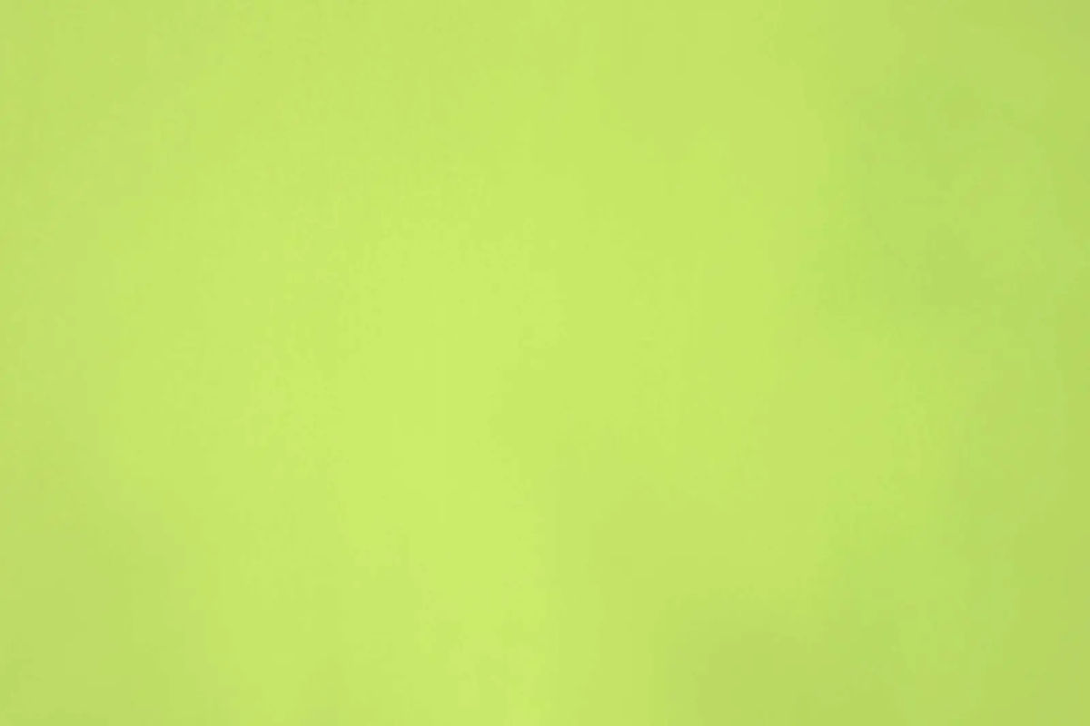 FANTASTIC - 30 Chartreuse — Casal