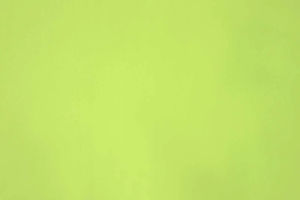 FANTASTIC - 30 Chartreuse — Casal