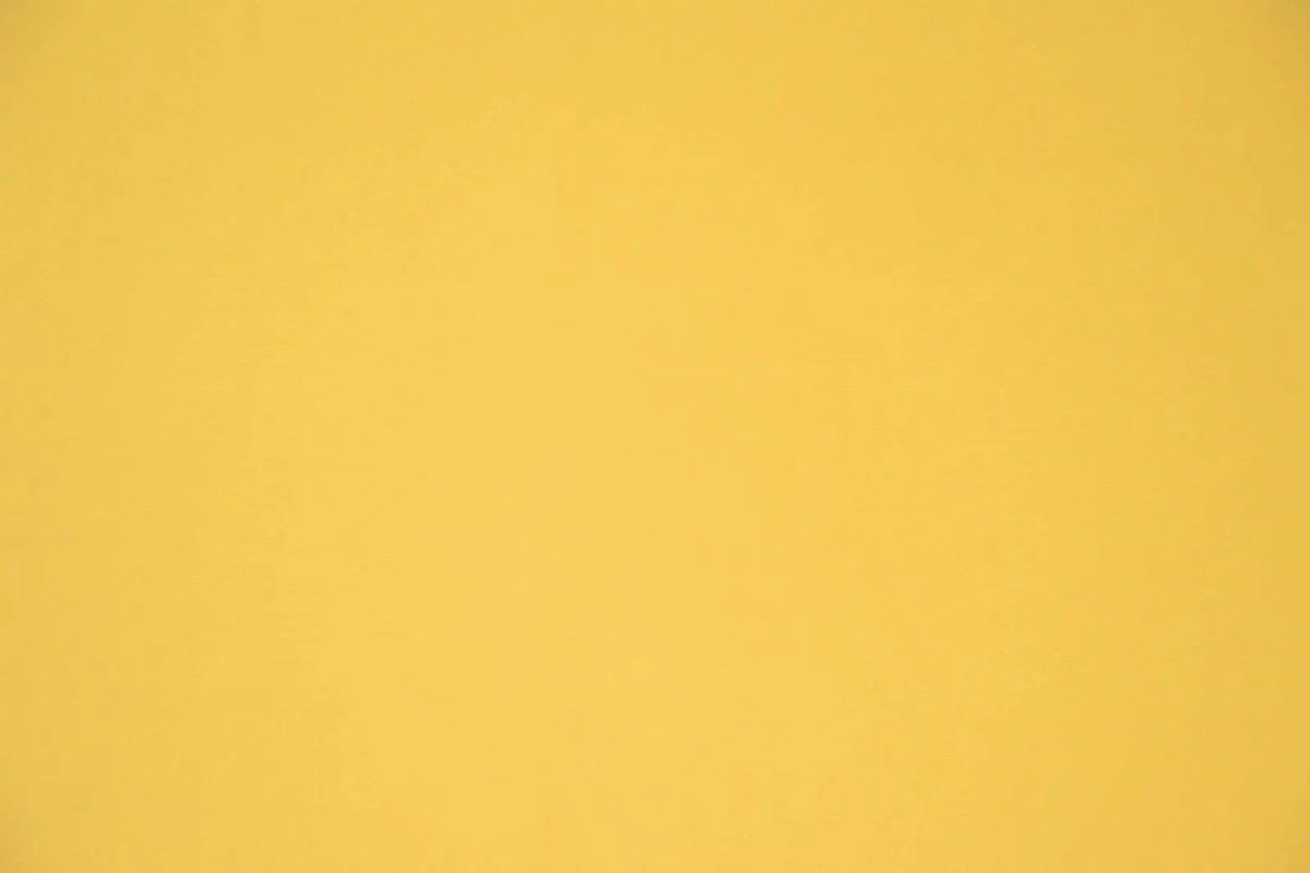 FANTASTIC - 40 Citron — Casal
