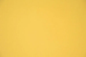 FANTASTIC - 40 Citron — Casal