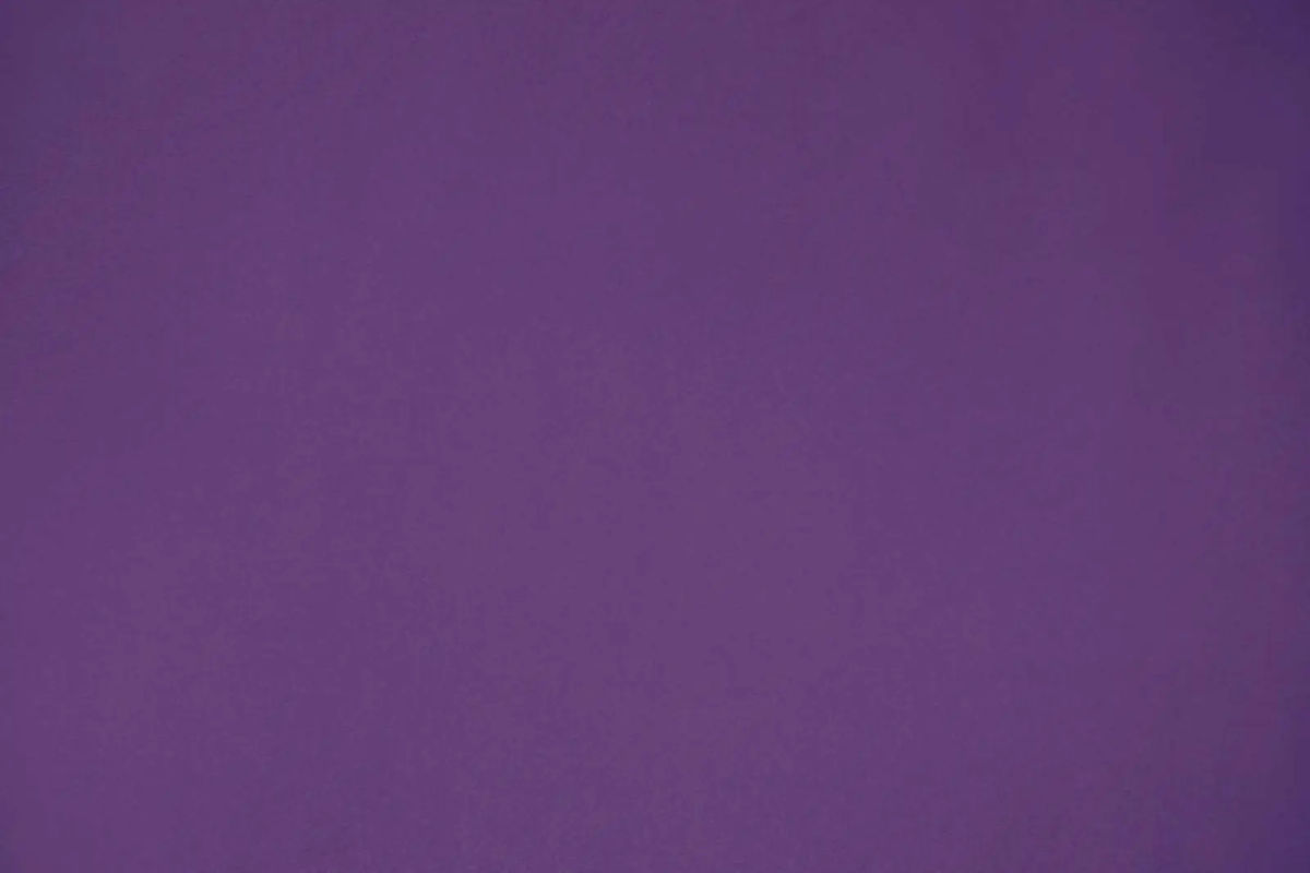 FANTASTIC - 96 Violet — Casal