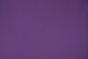 FANTASTIC - 96 Violet — Casal
