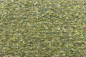 PIXIE - 30 Lichen — Casal