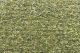PIXIE - 30 Lichen