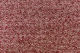 PIXIE - 92 Pivoine