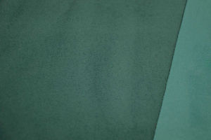 CANOPEE - 1412 Canard Turquoise — Casal