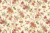 RAMAGES - 92 Pivoine