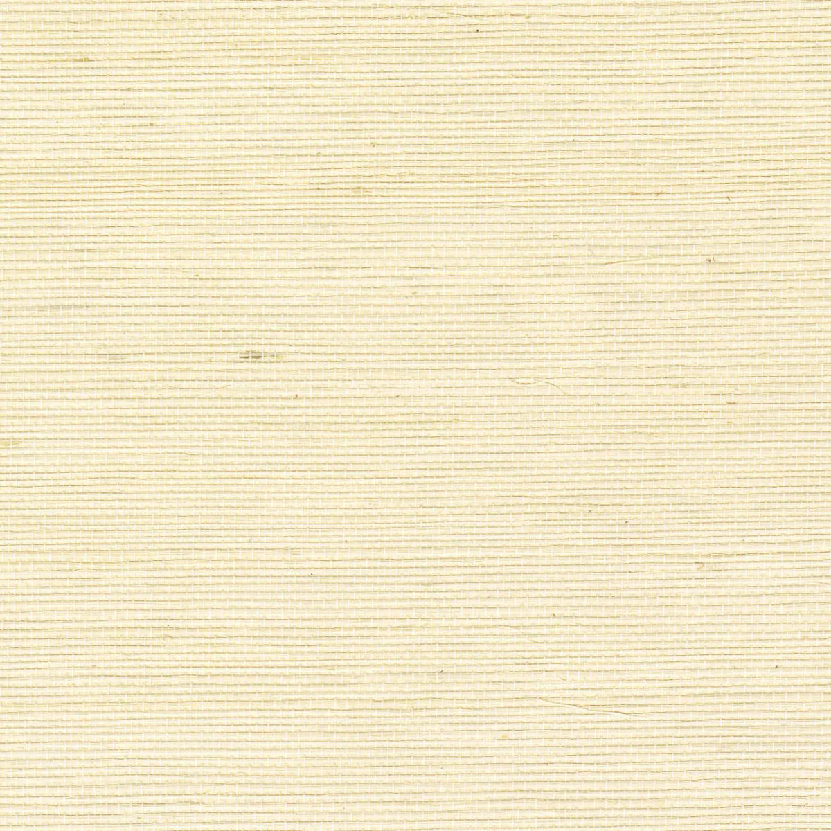 Sisal Ivoire — CMO Paris