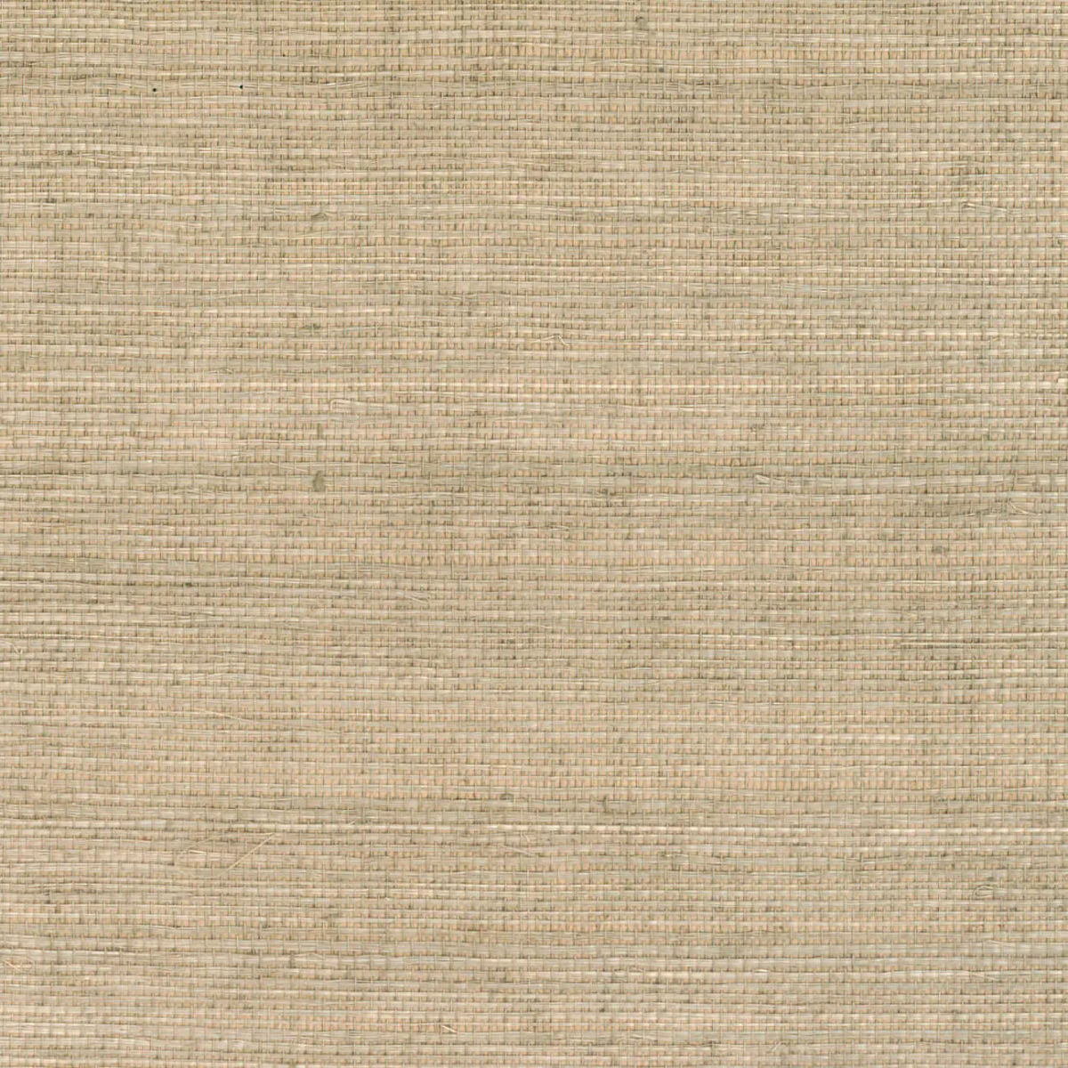 Sisal Nude — CMO Paris