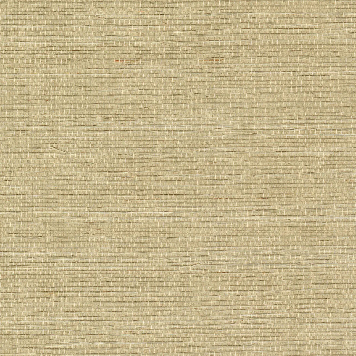 Sisal Champagne — CMO Paris