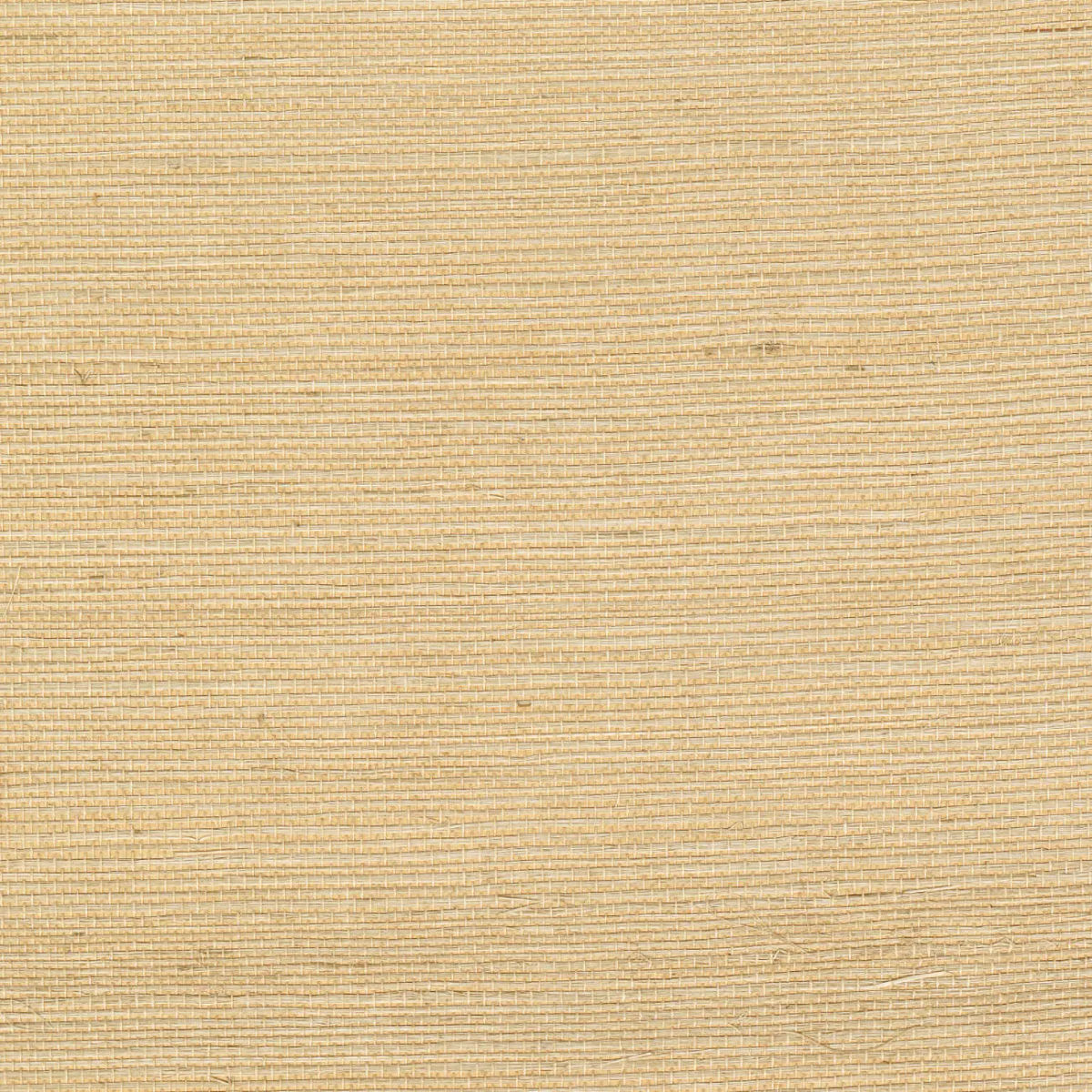 Sisal Blond — CMO Paris