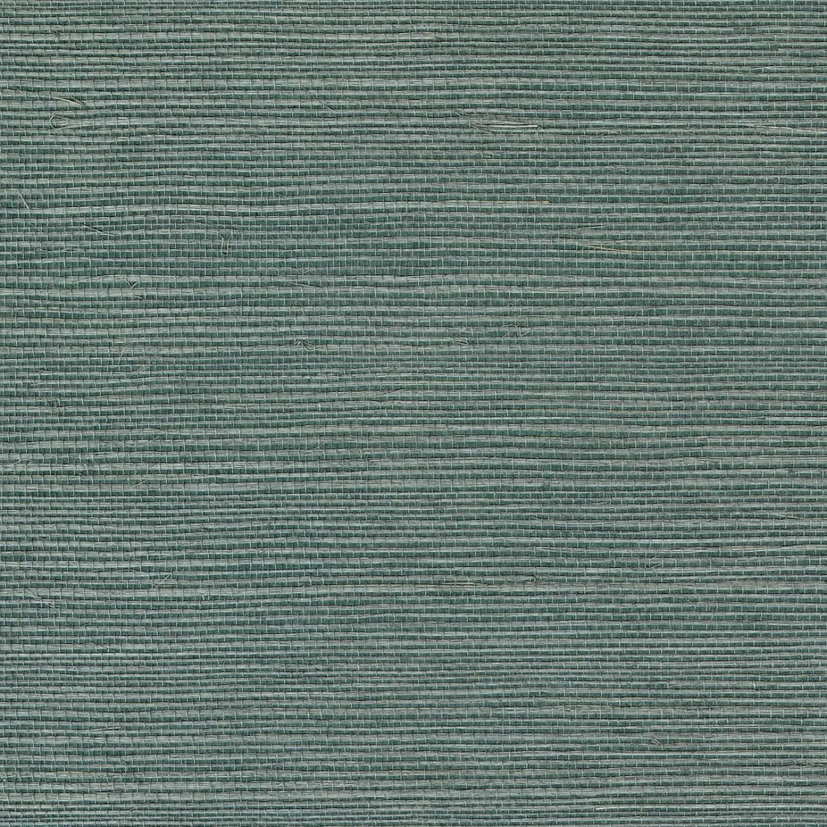 Sisal Ocean — CMO Paris