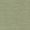 Sisal Amande