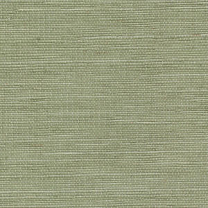 Sisal Amande — CMO Paris