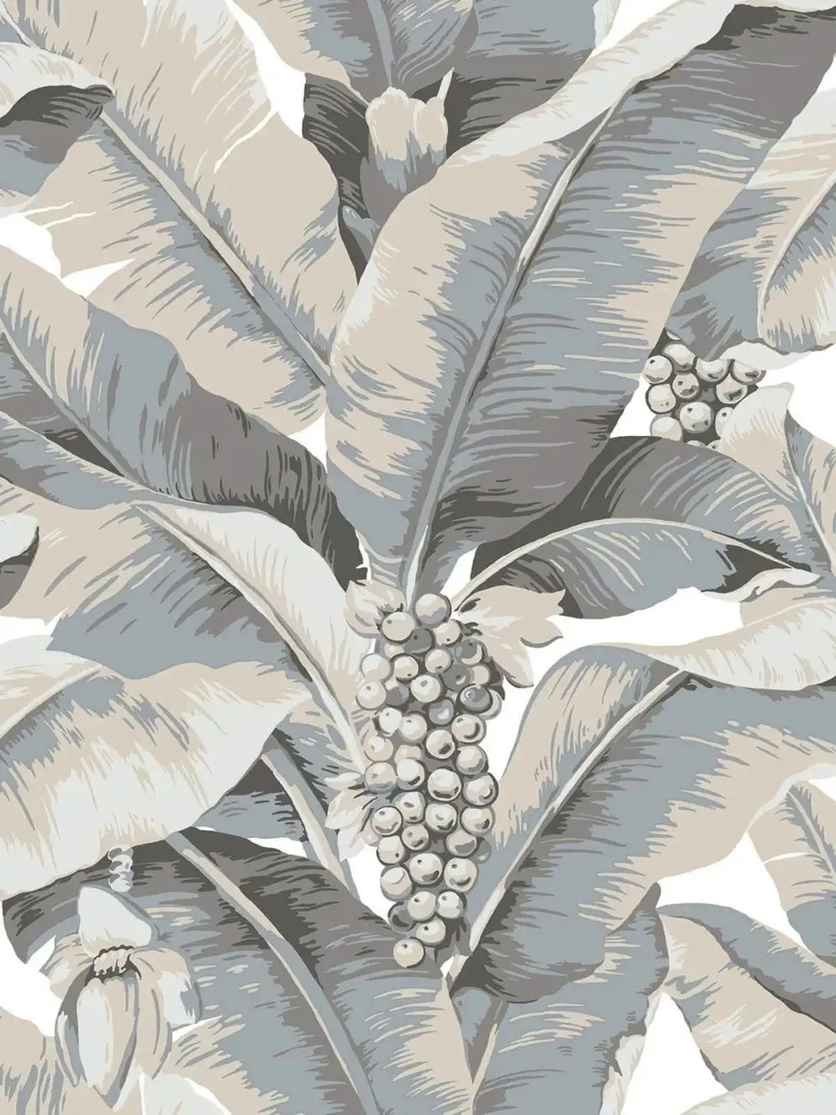 Paradisio Palm — Daisy Bennett