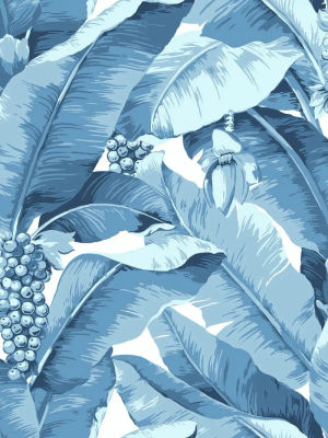 Paradisio Palm — Daisy Bennett