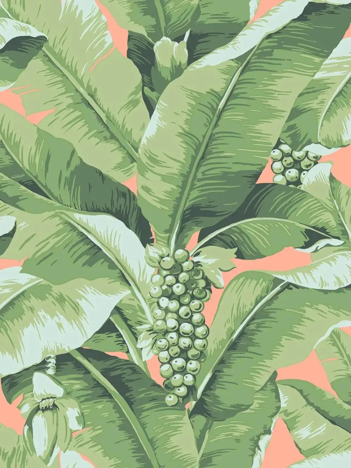 Paradisio Palm — Daisy Bennett