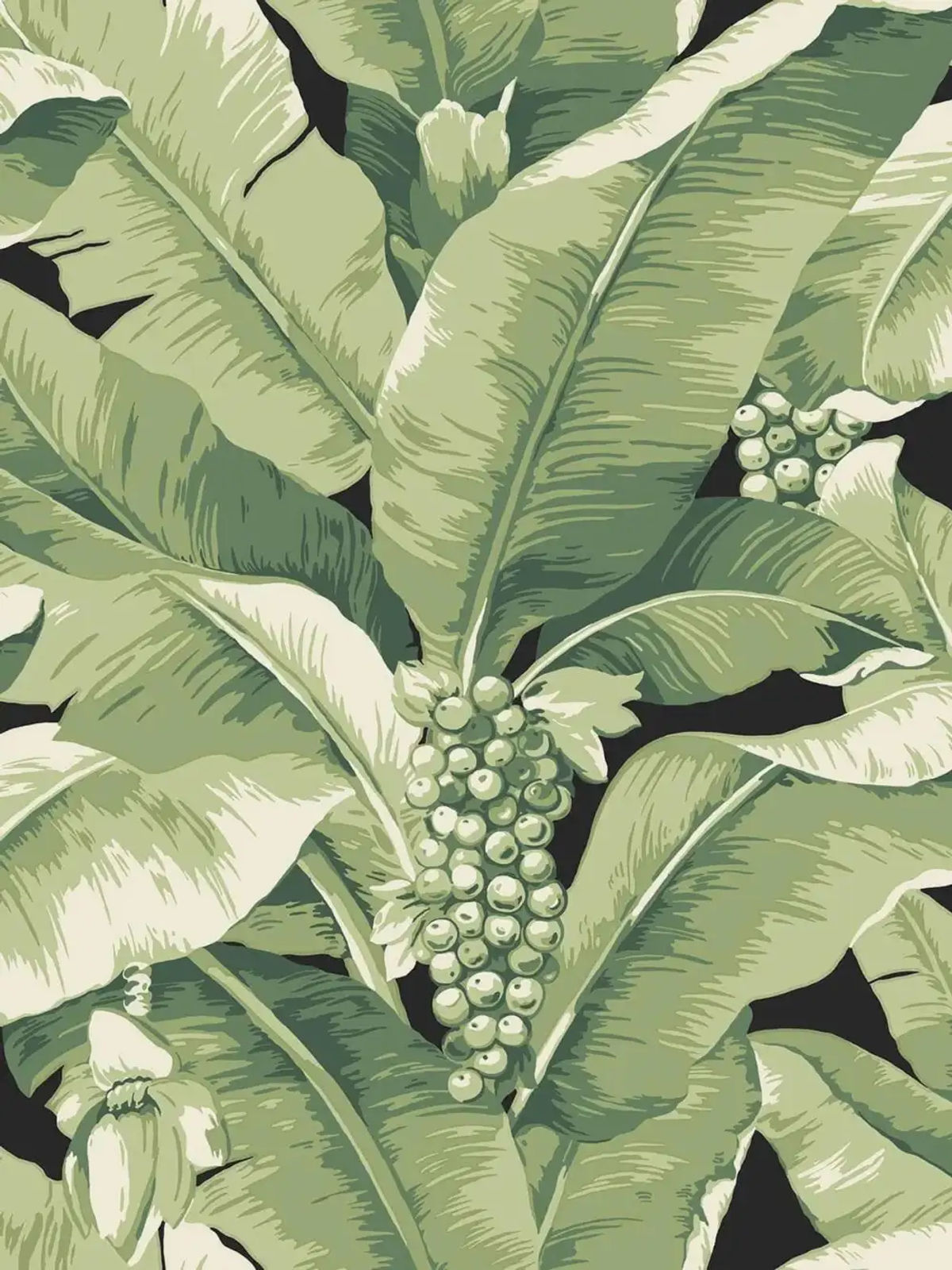 Paradisio Palm — Daisy Bennett