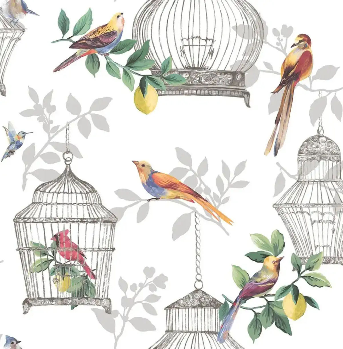 Audubon — Daisy Bennett