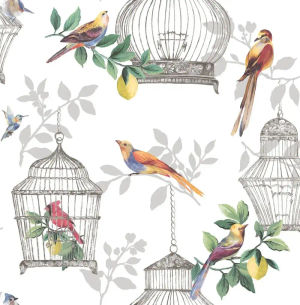 Audubon — Daisy Bennett