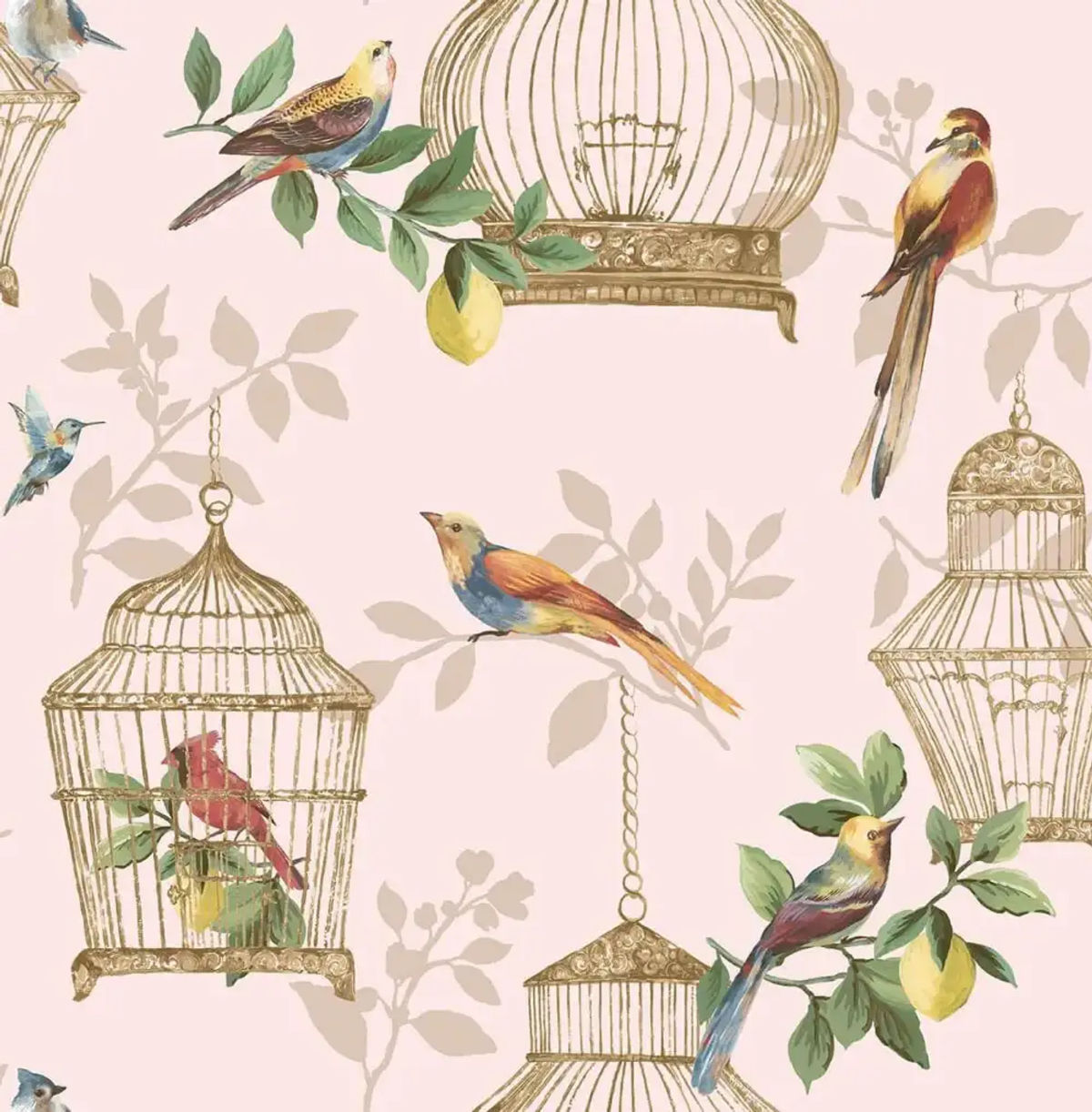 Audubon — Daisy Bennett
