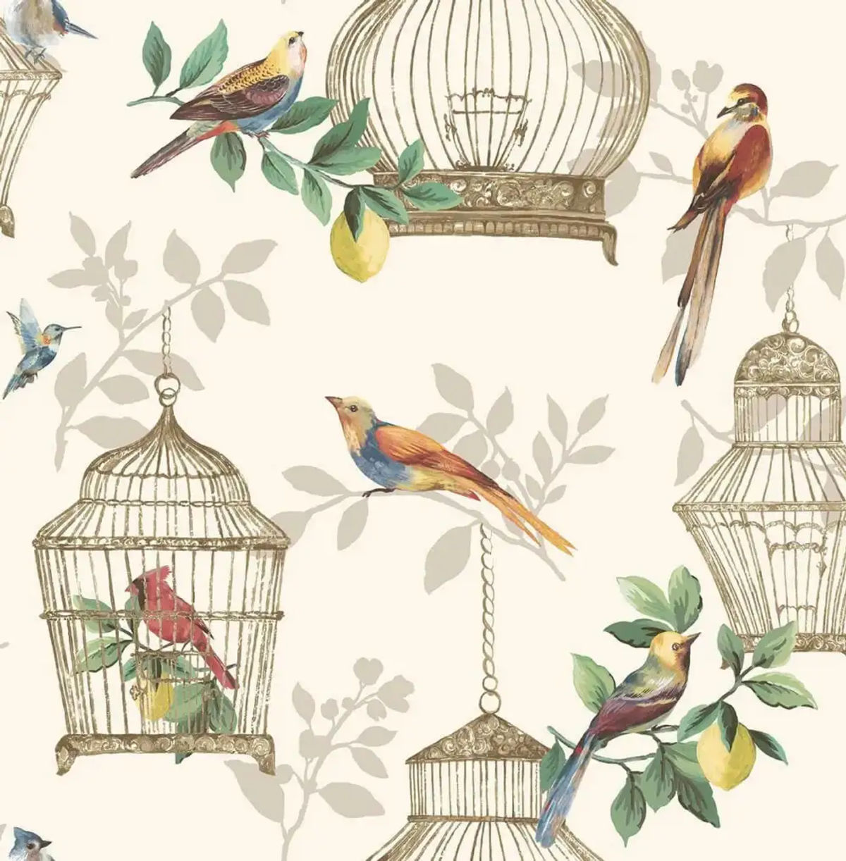 Audubon — Daisy Bennett