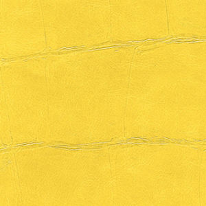 Une allure solaire — Elitis