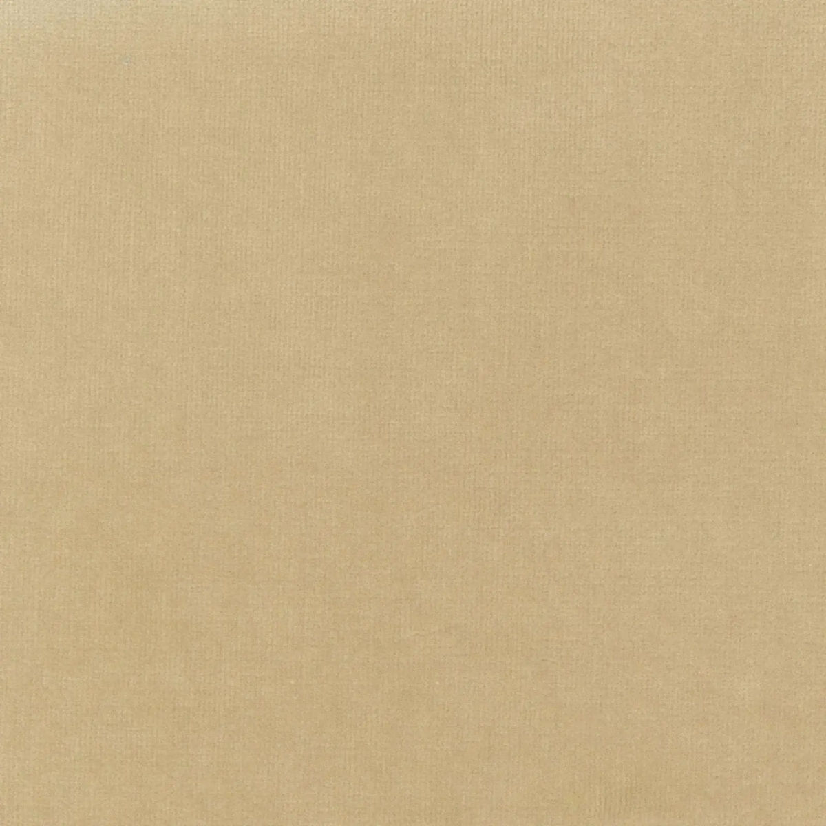 Timidité assumée — Elitis