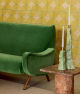 Timidité assumée
