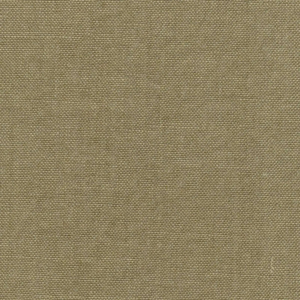 Lélégance sans éclat — Elitis