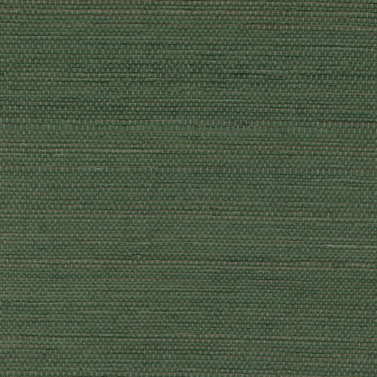 Au milieu de la garrigue — Elitis