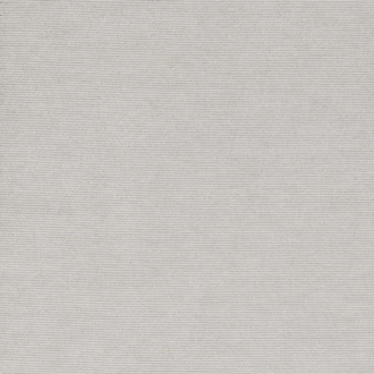 Pris dans la brume — Elitis