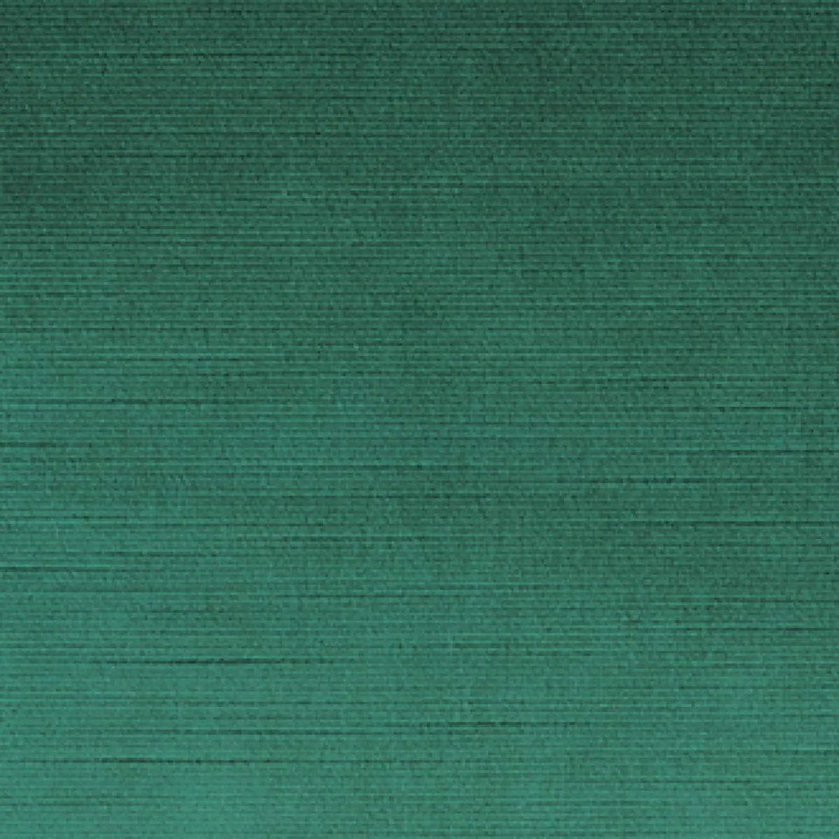 Insolente certitude — Elitis