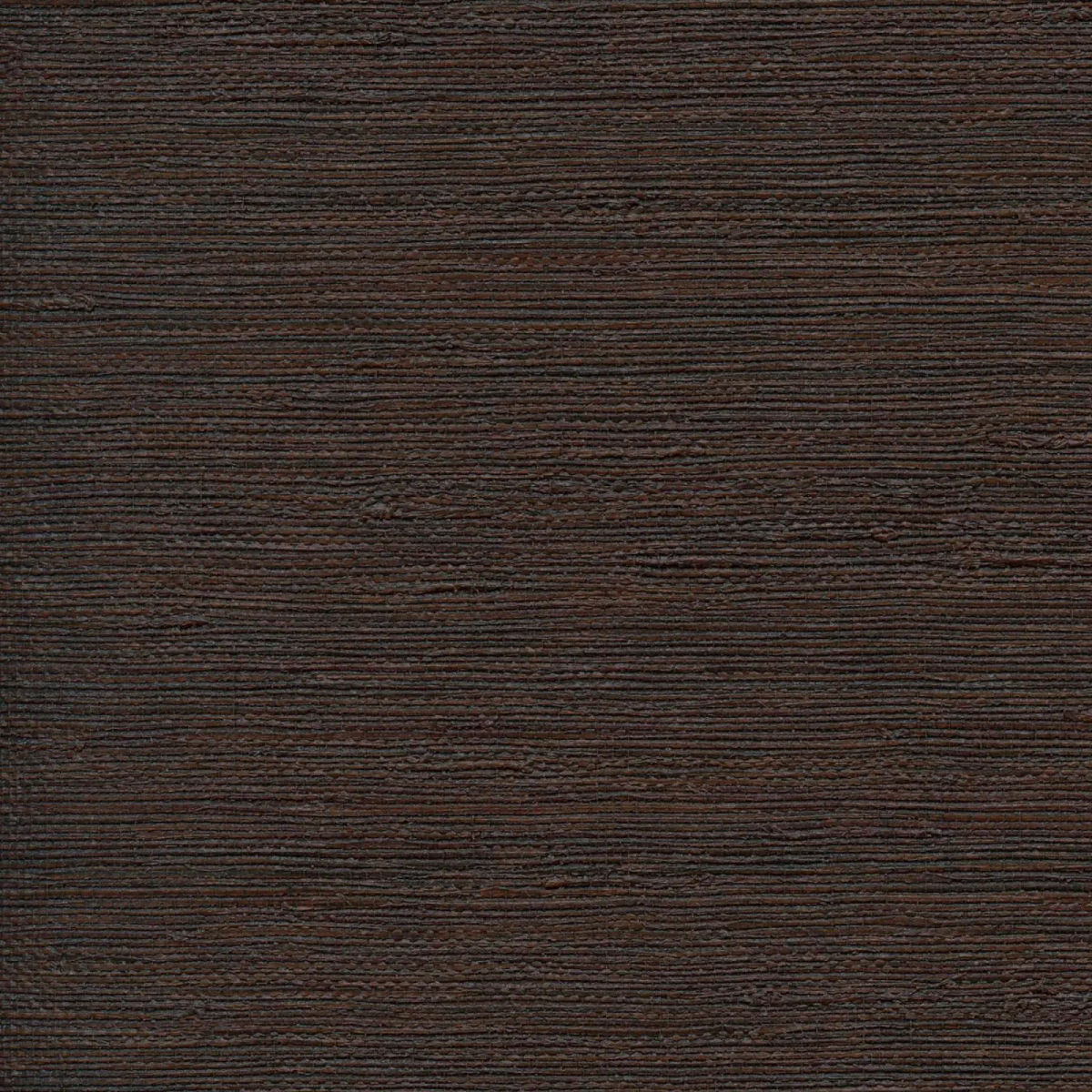 L'étalon noir — Elitis
