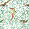 Amazone