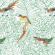 Amazone