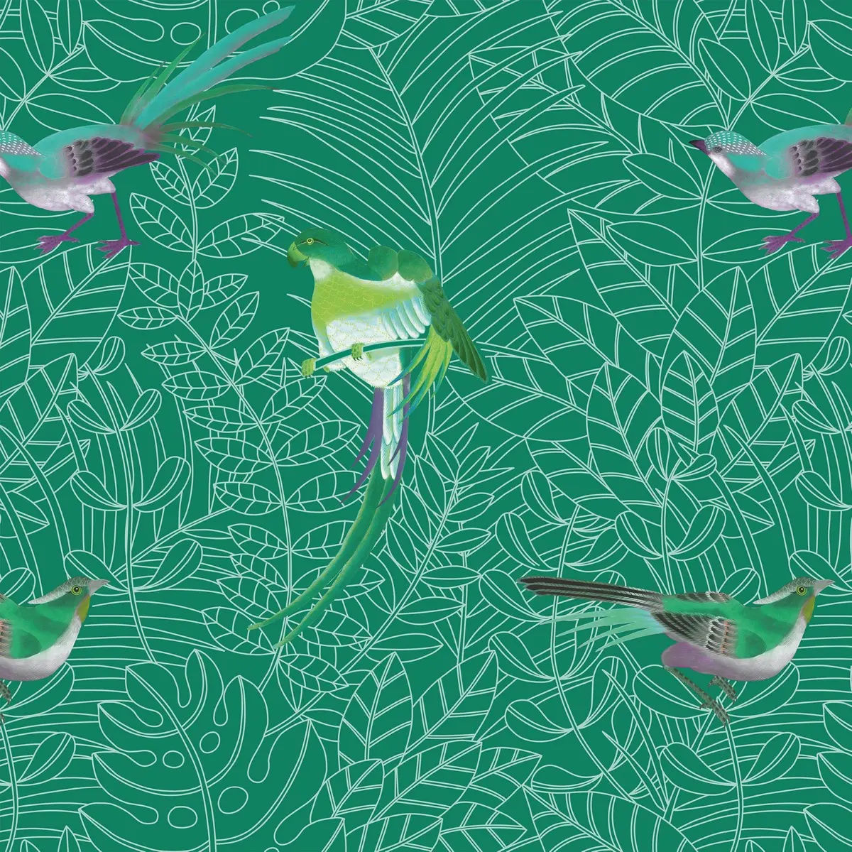 Amazone — Nobilis