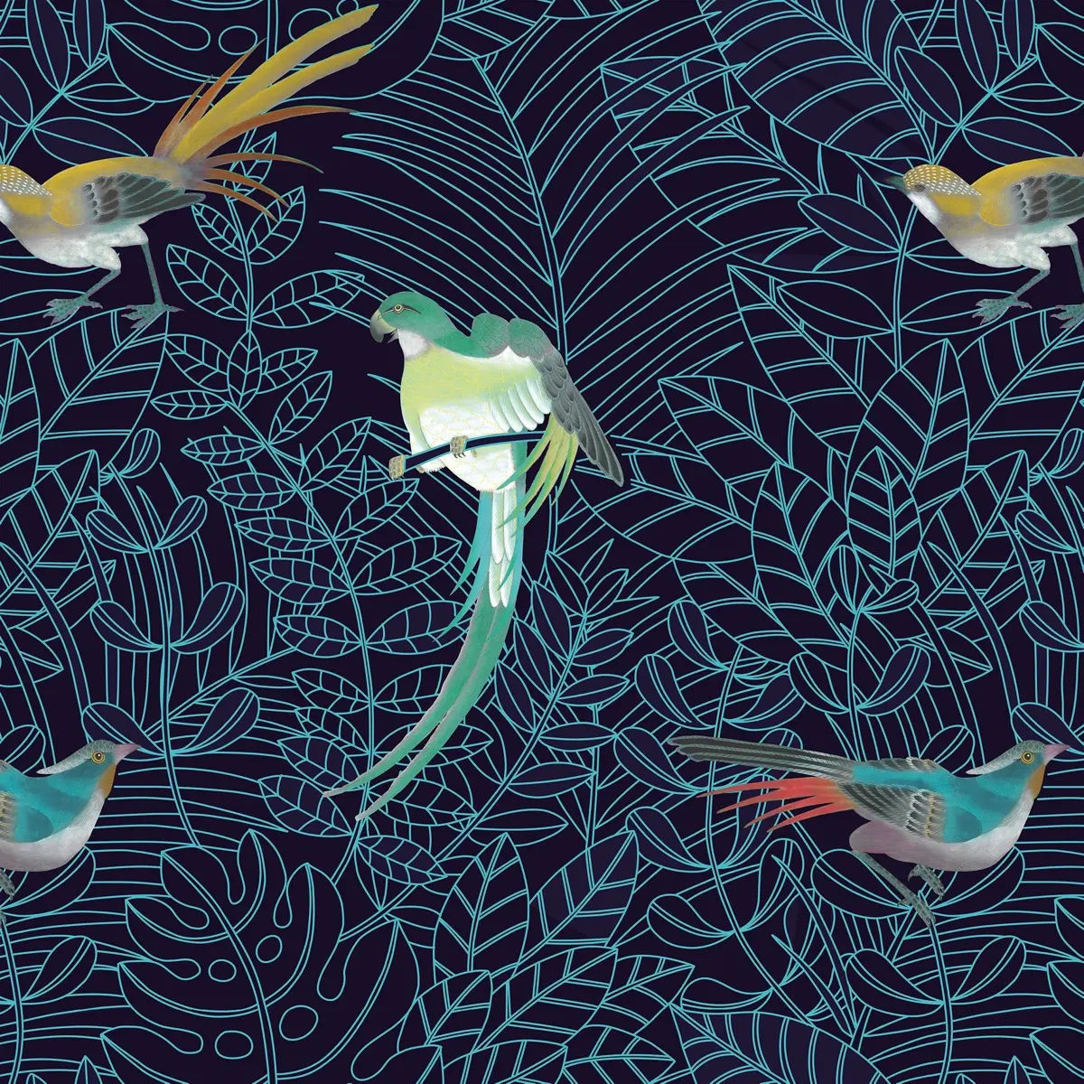 Amazone — Nobilis