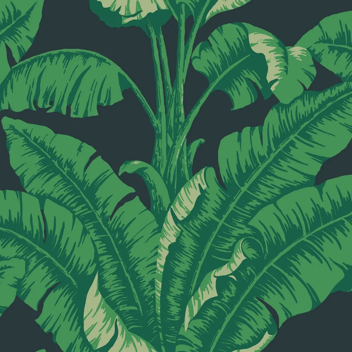 La Havane — Nobilis