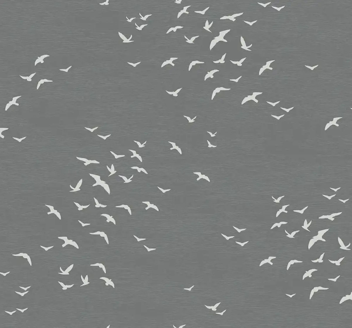 Bird Silhouettes — Paper & Ink