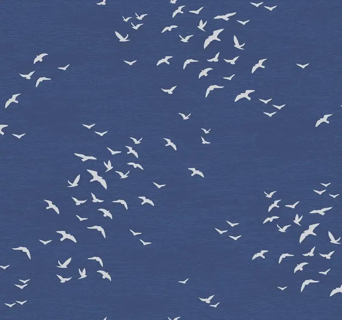 Bird Silhouettes — Paper & Ink