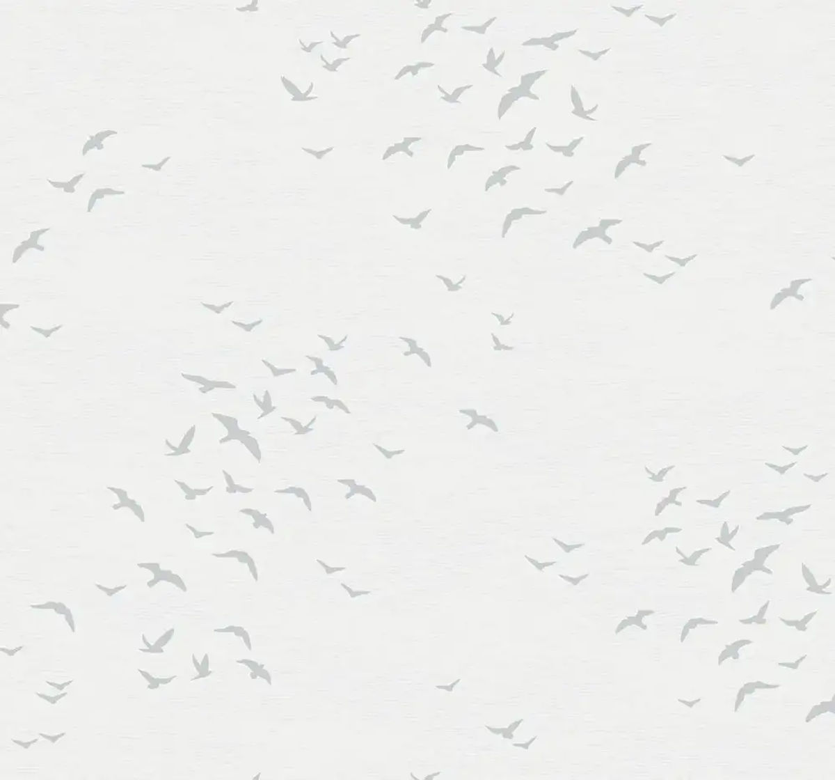 Bird Silhouettes — Paper & Ink