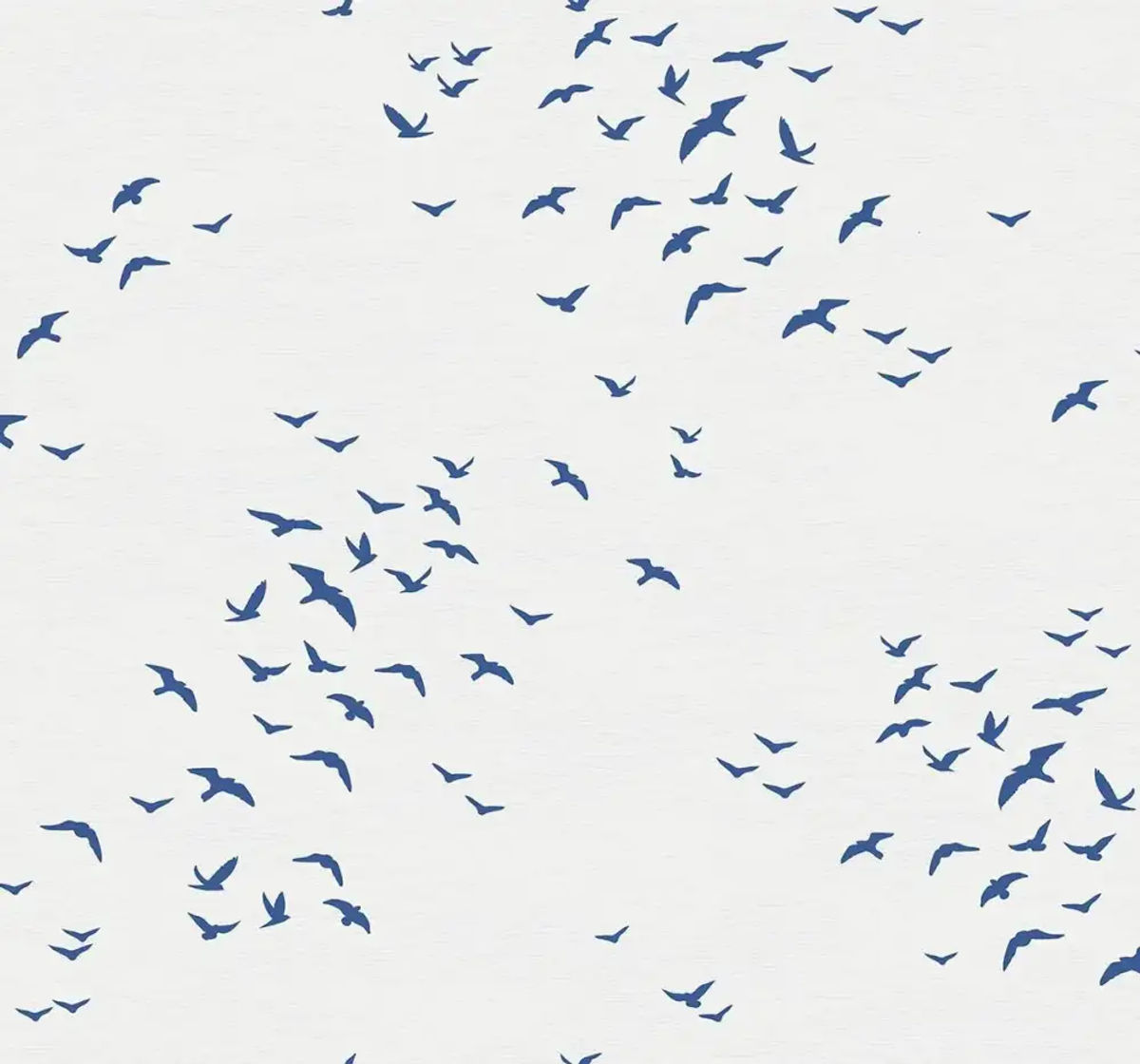 Bird Silhouettes — Paper & Ink