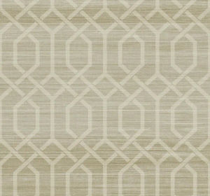 Trellis Grasscloth — Paper &amp; Ink