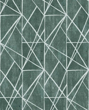 Dots and Lines — Pelican Prints